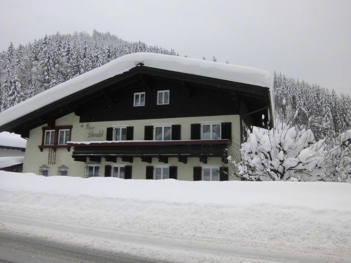 Appartements Haus Schmalzl Viehhofen Exterior foto